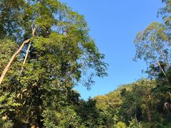 -火炉山森林公园