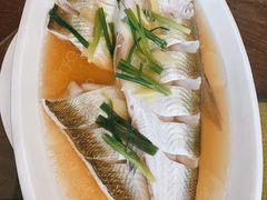 清蒸白鱼-观桥阁(锦溪店)