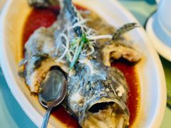 -衡山汇·高级粤菜(霄云路店)