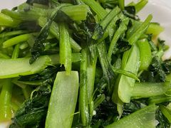 -煲来饱去冷水鱼