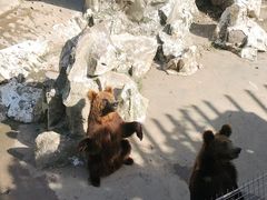 -成都动物园