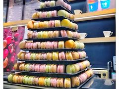 面包甜点陈列柜-Blueglass酸奶(华贸购物中心店)