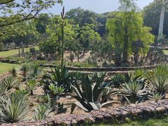 -东莞植物园