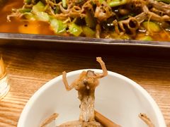 -二0二李记南瓜田鸡老字号(宜宾一店)