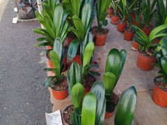 -香炉礁家具市场