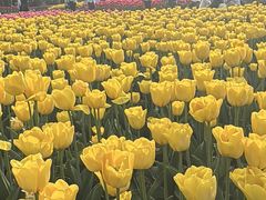 -无锡梅园公园