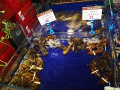 -船歌·鱼水饺青岛菜(闽江二路店)