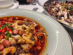 -三猫黑鱼花(南大店)