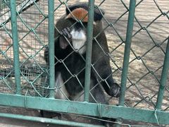 -秦皇岛野生动物园