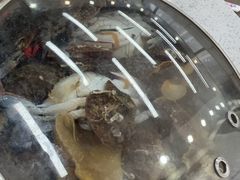 -仙螺岛海鲜自助餐厅(总店)