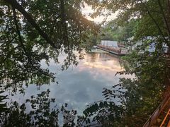 -月湖风景区
