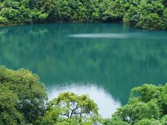 -鼎湖山风景区