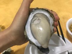 -蚝专家(北滘店)