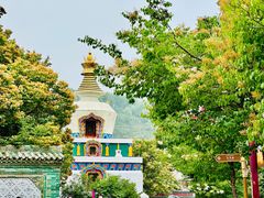 -塔尔寺