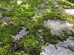 -终南山南五台景区