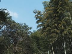 -黄公望隐居地
