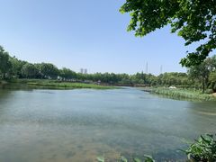 -金银湖国家城市湿地公园