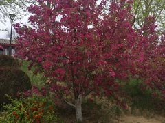 -元大都城垣遗址公园