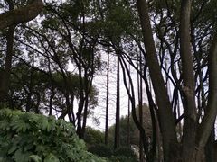 -上海醉白池公园