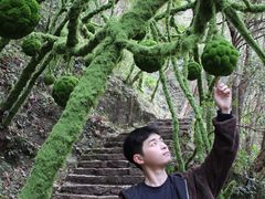 -龙湾潭国家森林公园
