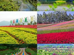 -厦门湾·白塘湾火山公园