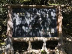 -王顺山国家森林公园