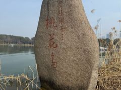 -金鸡湖桃花岛