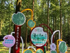 -东平国家森林公园