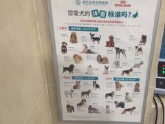 -谐和益家动物医院·免疫绝育·血液透析·宠保定点医院(高新伊藤分院)