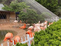 -大连老虎滩海洋公园