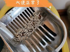-贝利宠物医院·骨科·眼科·肿瘤转诊中心(南坪诊疗中心)