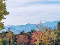 -塔川景区