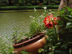 -上海鲜花港