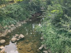 -白马涧龙池景区