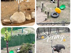 -沈阳森林动物园