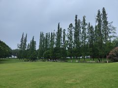 -襄阳古城
