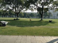 -东华大学(松江校区)