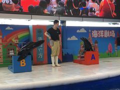 -成都浩海立方海洋公园