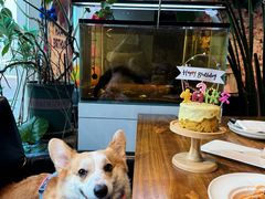 -百好乐宠物友好餐厅(朝外大街店)