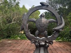 -广东惠东海龟国家级自然保护区