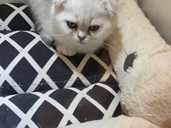 -凯德广场(武胜路店)