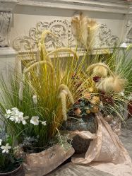 -US•美甲艺术 | 冕光