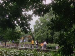 -花溪公园