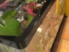 -竹雀古法采耳(青岛麦凯乐店)