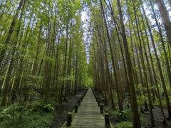 -桤木河湿地公园