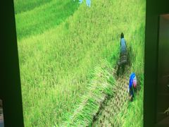 -湘邻呷铺·田园家宴(汉基广场店)