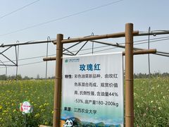 -中国天府农业博览园