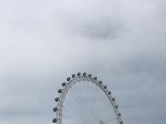 -渡海小渔村.老辈日照菜