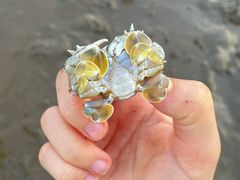 -珠海金沙滩