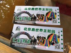 -北京鹿世界主题园
